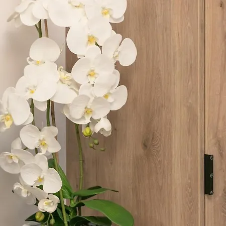 Jantaris- B3- Przy Plaży Apartament