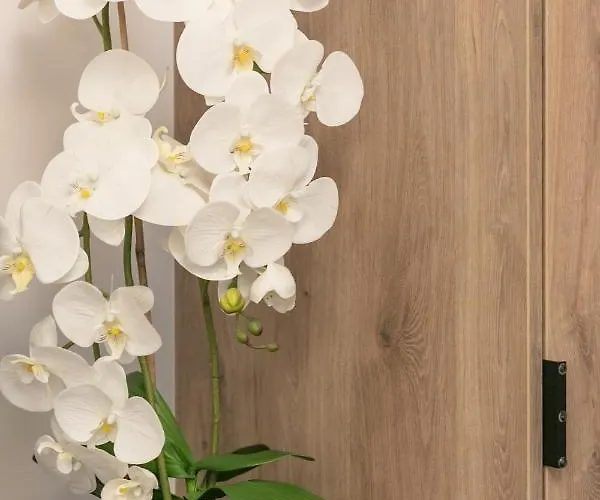 Jantaris- B3- Przy Plazy Apartmán